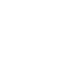 Icone shield